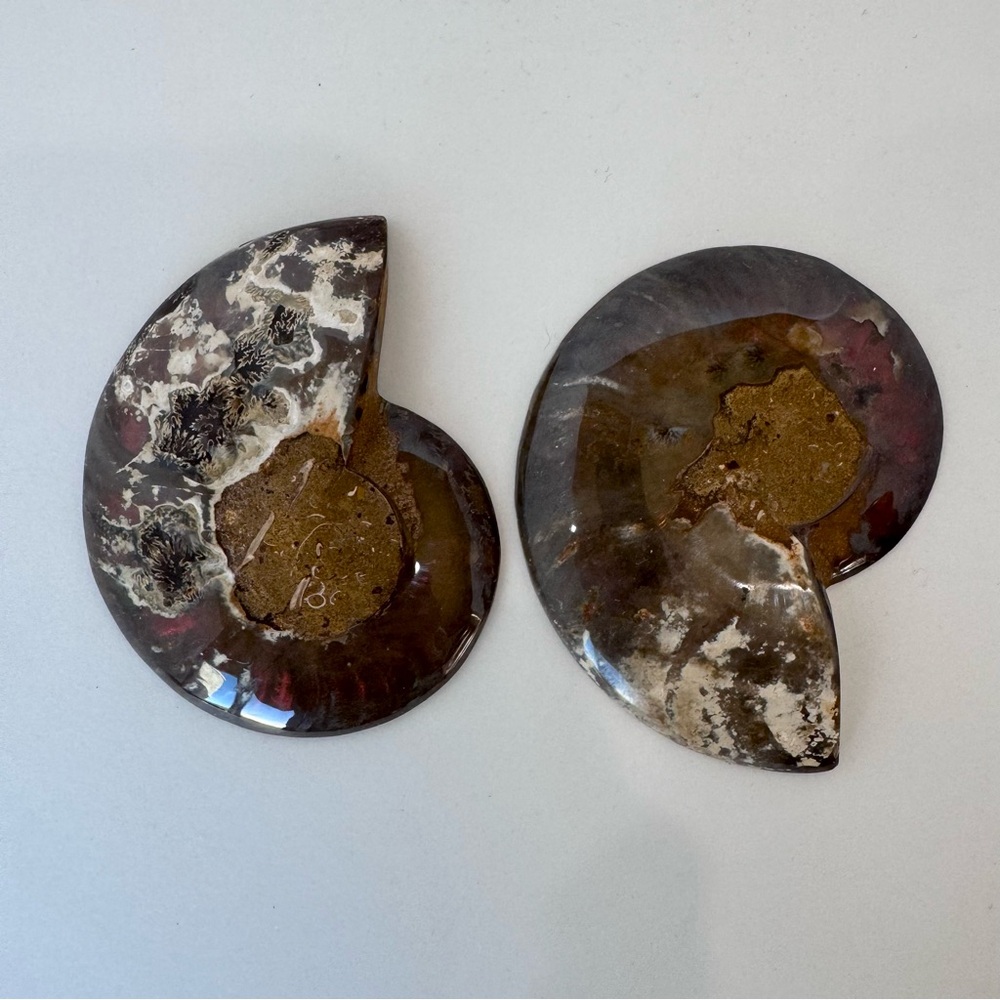 Large Matching Pair of Iridescent Polished Ammonite Fossils from Morocco - Picture 2 of 16